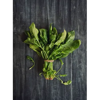 spinach (4)-1695355-10198.webp